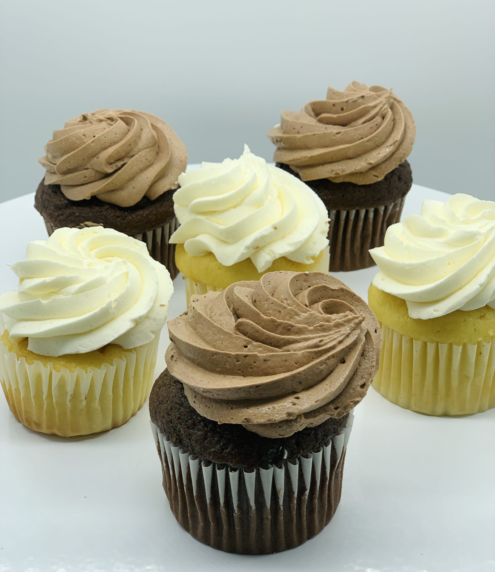 Plain Iced Cupcake - Assorted