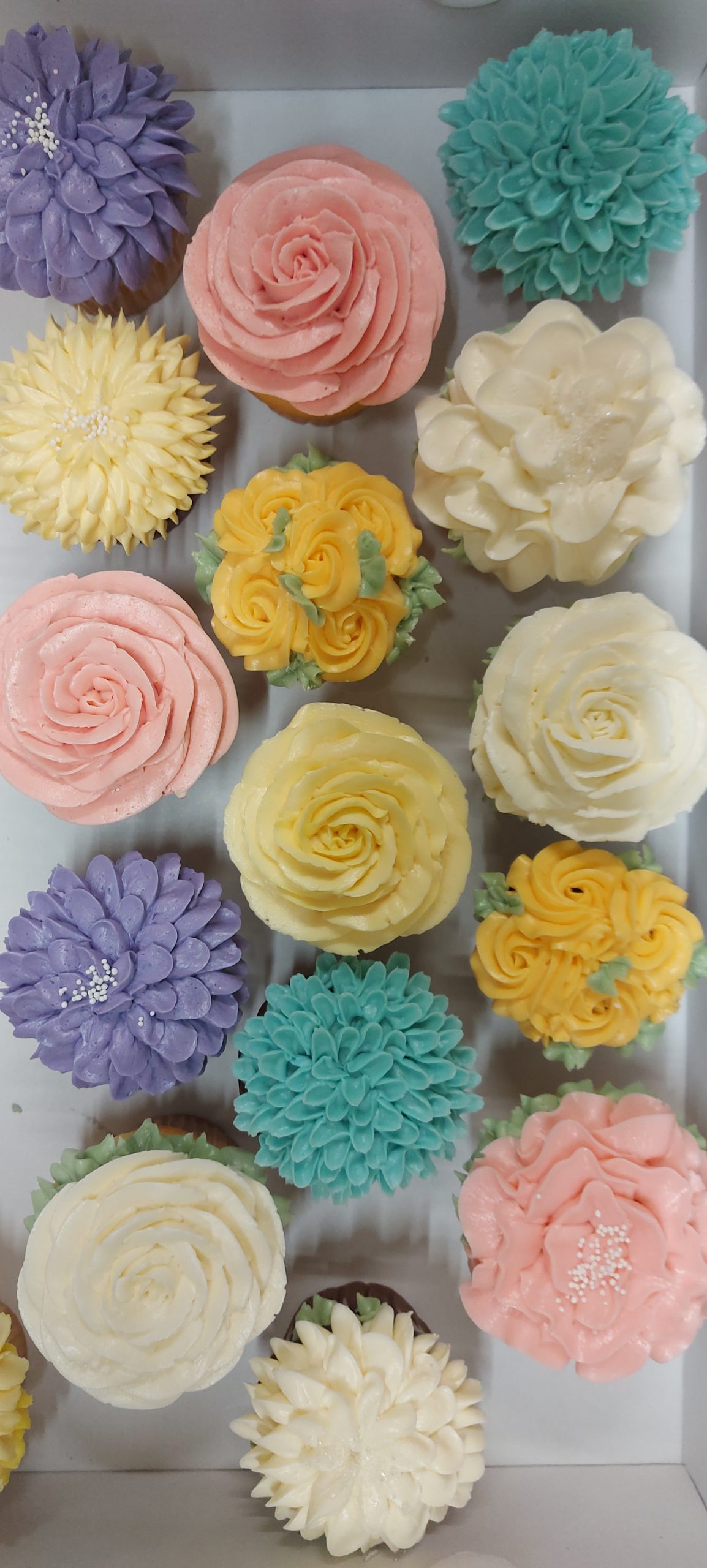 Individual Cupcakes